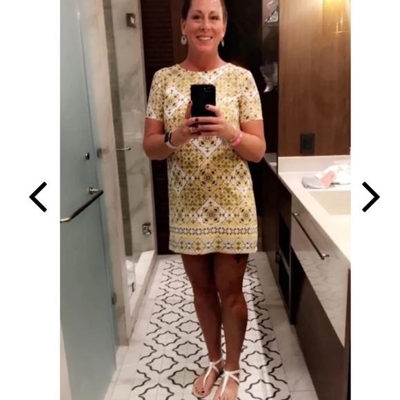 Lulu's Dandy Lion Shift Dress - Picture 11 of 13